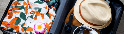 D-0524-baggage-travel5.jpg Air Tahiti Nui bagages